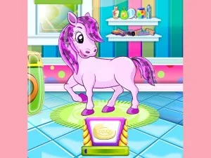 Pony Pet Salon: A Delightful Equine Experience